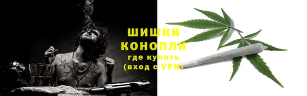 PSILOCYBIN Абаза