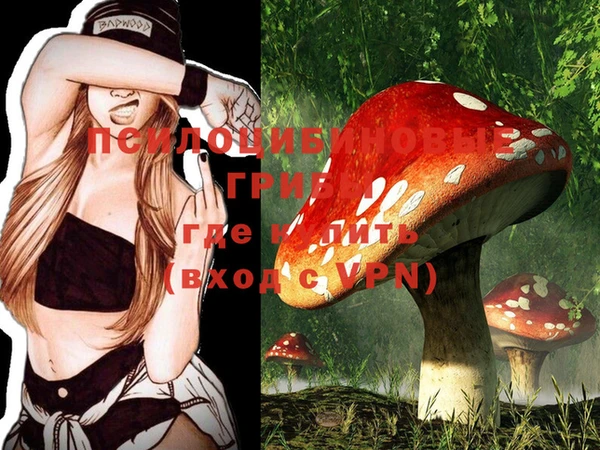 PSILOCYBIN Абаза
