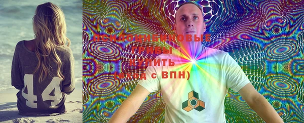 прущие грибы Алексин