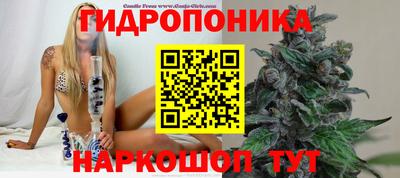 молекула духа Севастополь