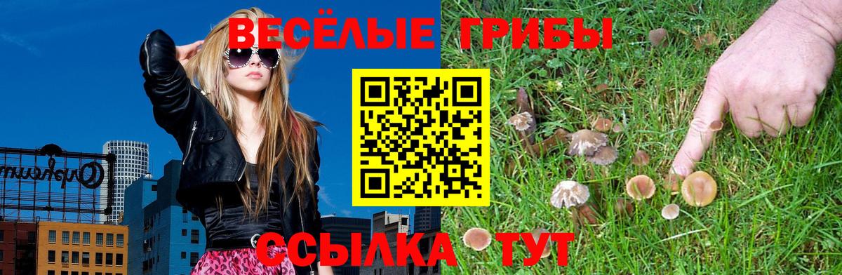 Псилоцибиновые грибы ЛСД  Вход с VPN  Арсеньев  Псилоцибиновые грибы GOLDEN TEACHER 